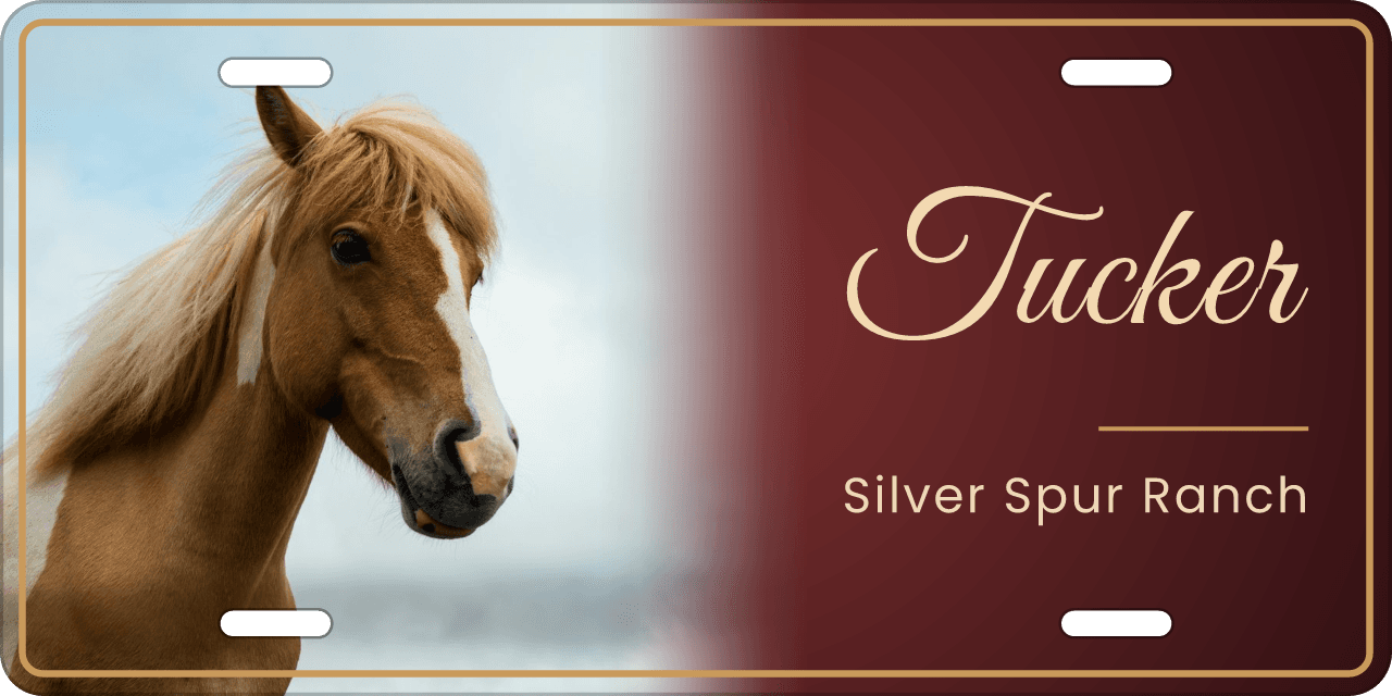 Burgundy Glow stall sign, with your horse’s photo