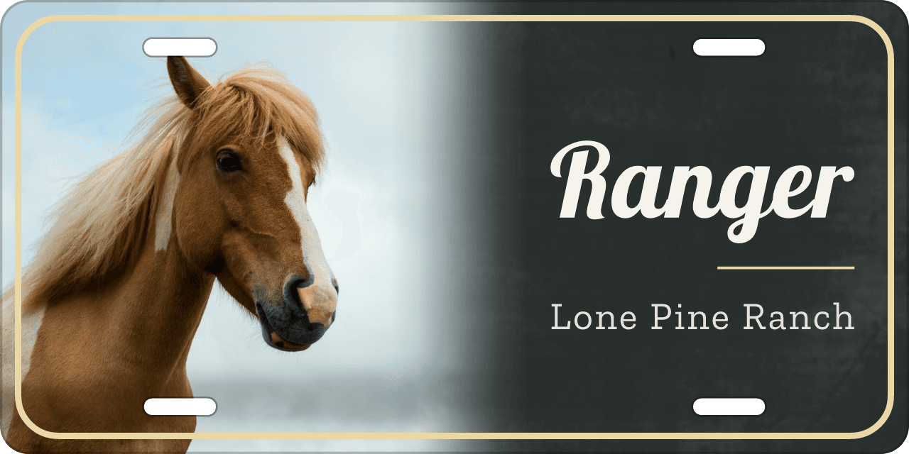 Chalkboard stall sign, with your horse’s photo