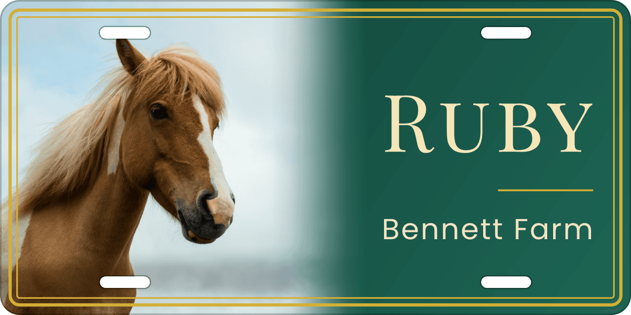 Emerald & Gold stall sign, with your horse’s photo