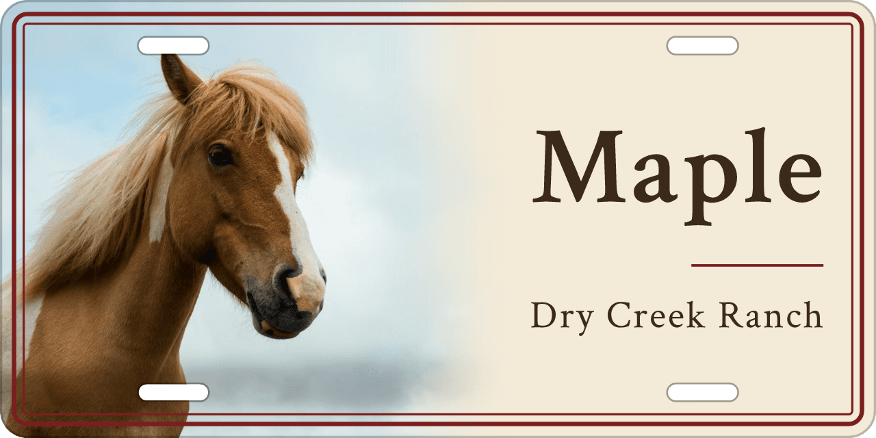 Heritage stall sign, with your horse’s photo