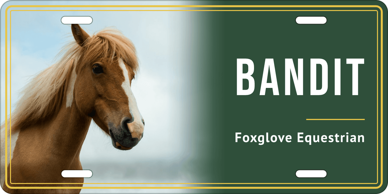 Hunter Green stall sign, with your horse’s photo