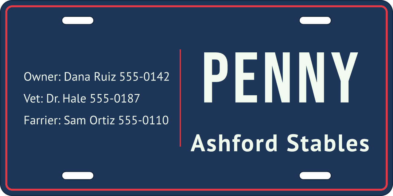 Split layout: a stall sign reading Penny, Ashford Stables
