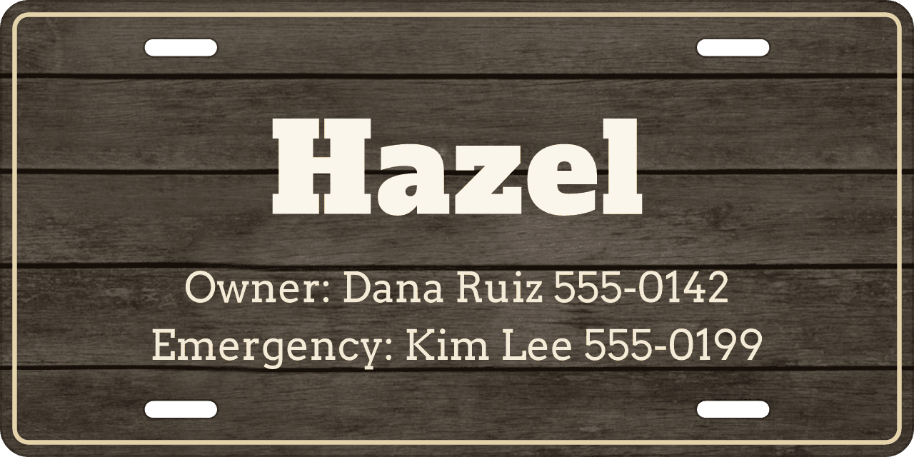 Two contacts under the name: a stall sign reading Hazel