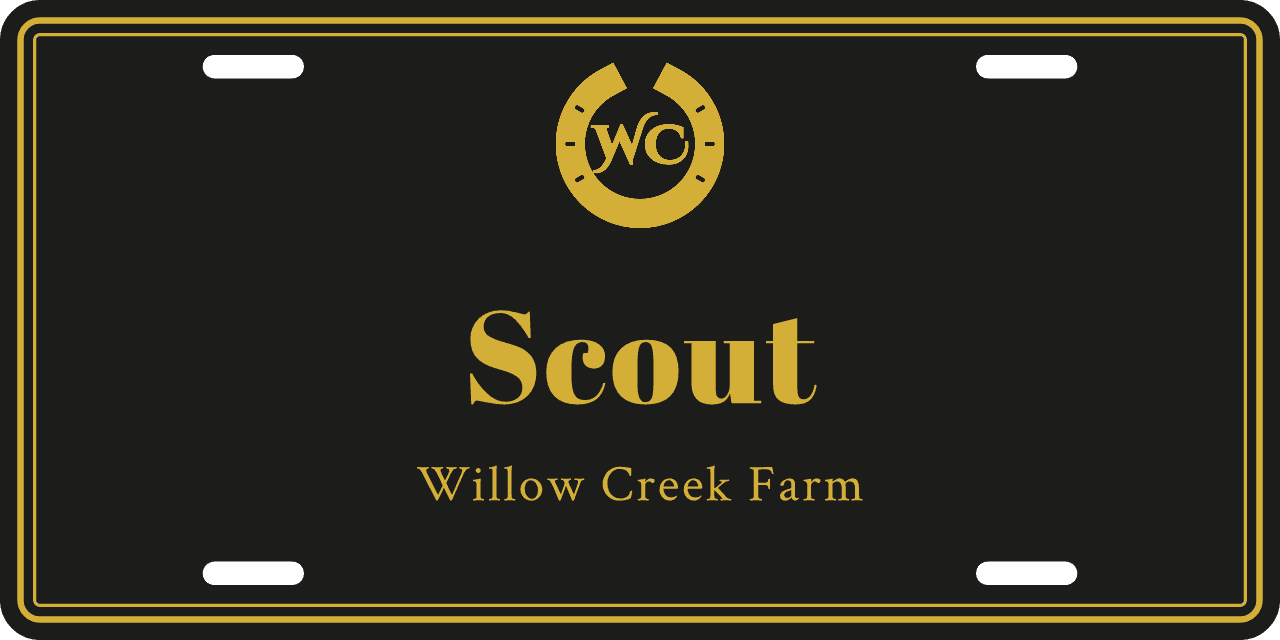 One color, the sign’s accent: a stall sign reading Scout, Willow Creek Farm