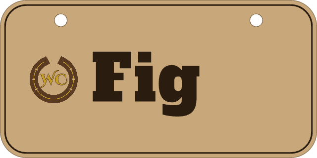 On the 6×3″ mini: a stall sign reading Fig