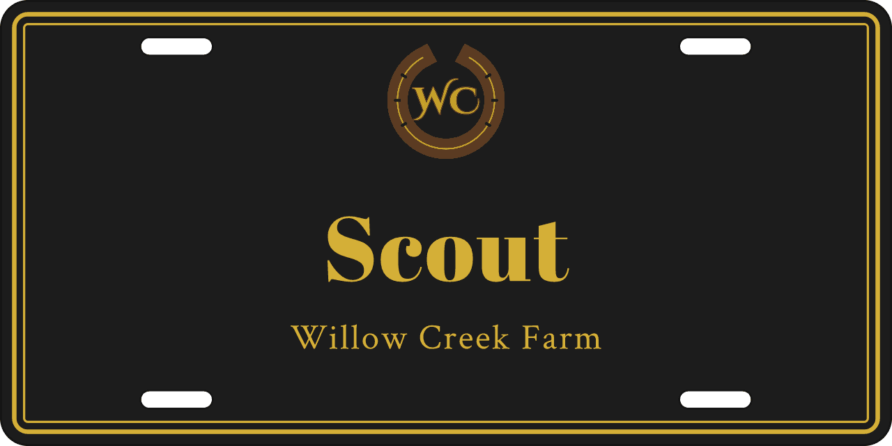 In its own colors: a stall sign reading Scout, Willow Creek Farm