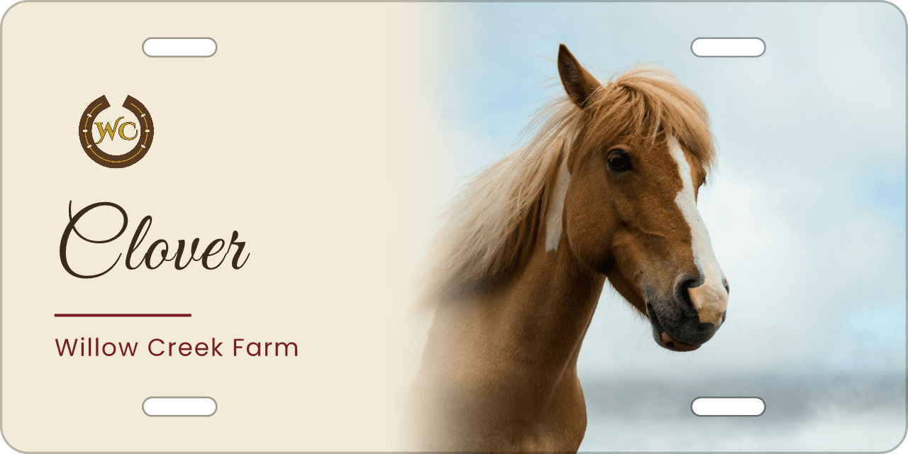 With your horse’s photo: a stall sign reading Clover, Willow Creek Farm