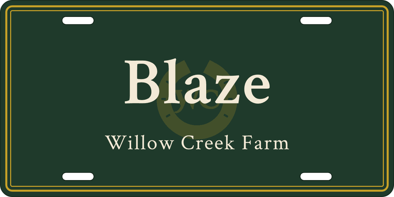 Watermark behind the name: a stall sign reading Blaze, Willow Creek Farm