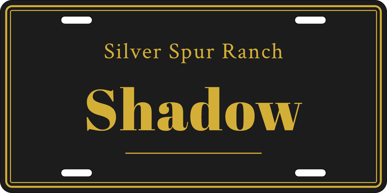 Barn above, a rule between: a stall sign reading Shadow, Silver Spur Ranch