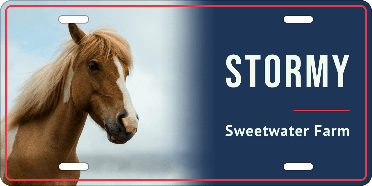 Navy Show stall sign, with your horse’s photo