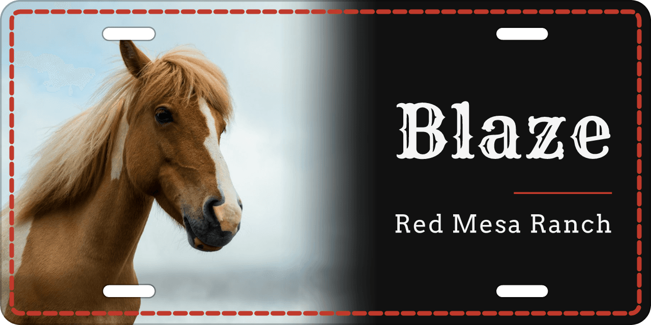 Ranch Black stall sign, with your horse’s photo