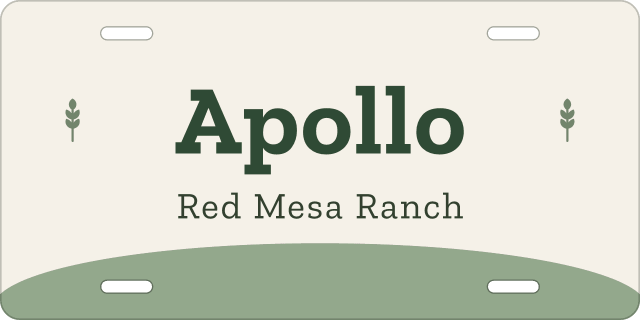 Sage Meadow stall sign, name between ornaments