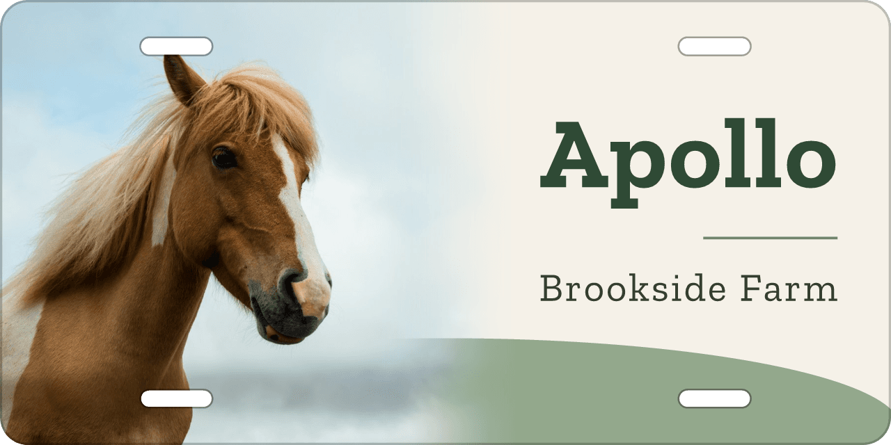 Sage Meadow stall sign, with your horse’s photo