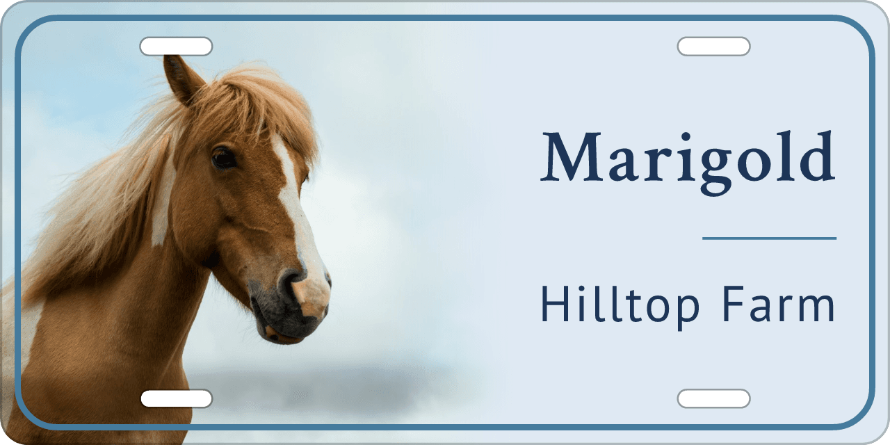 Sky stall sign, with your horse’s photo
