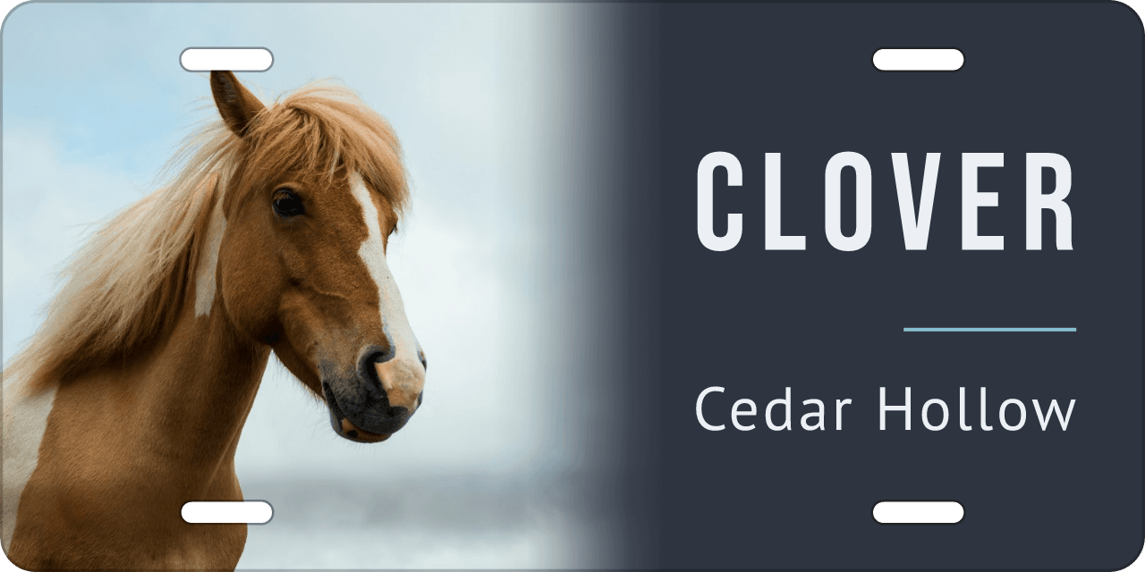 Slate stall sign, with your horse’s photo