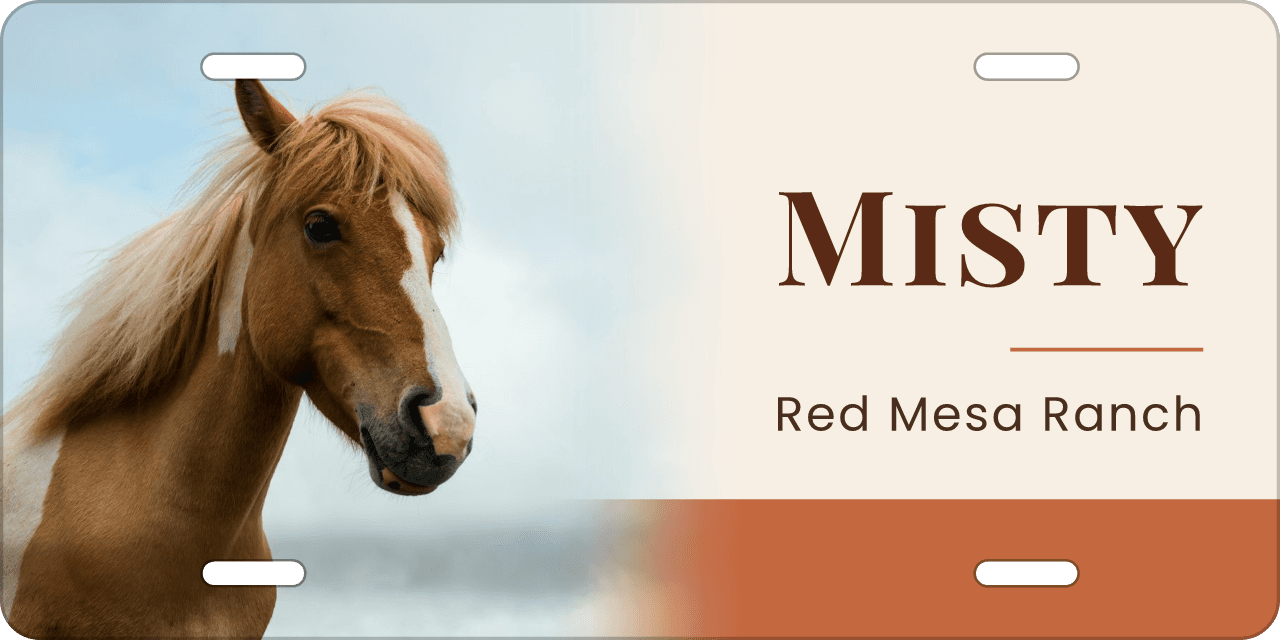 Terracotta Band stall sign, with your horse’s photo