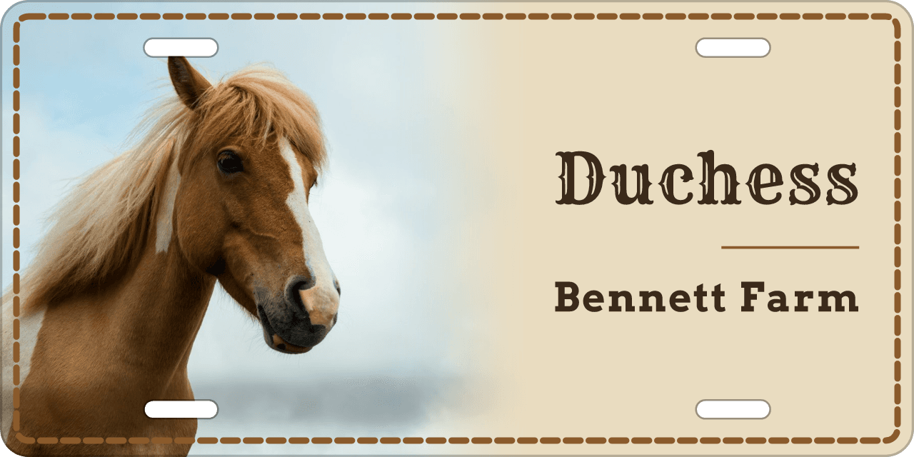 Western stall sign, with your horse’s photo