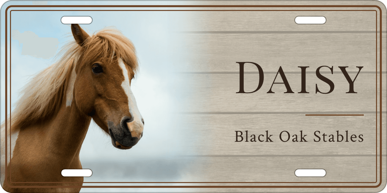 Whitewashed Barnwood stall sign, with your horse’s photo