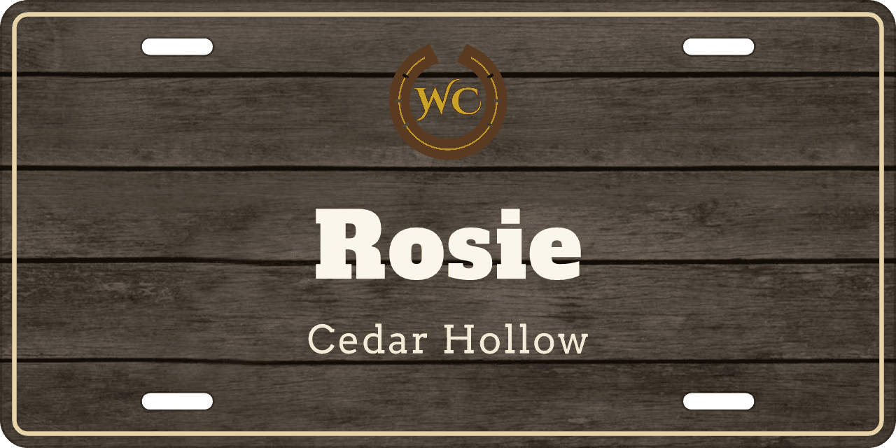 Barnwood Plank stall sign, with your farm’s logo