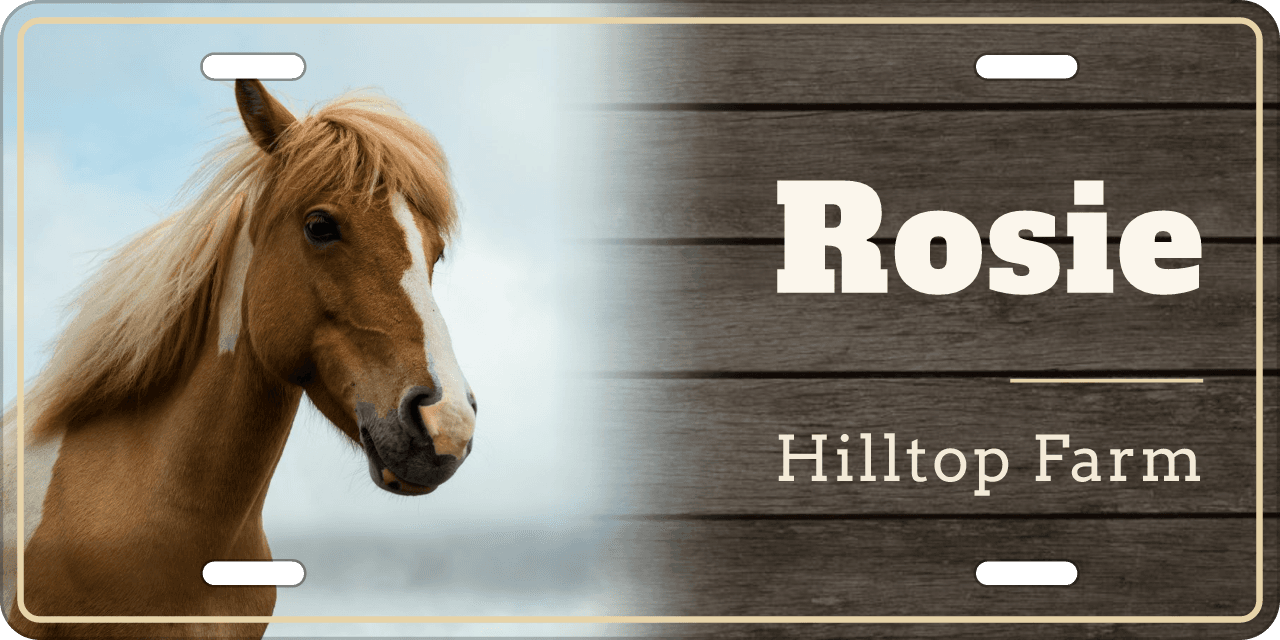 Barnwood Plank stall sign, with your horse’s photo