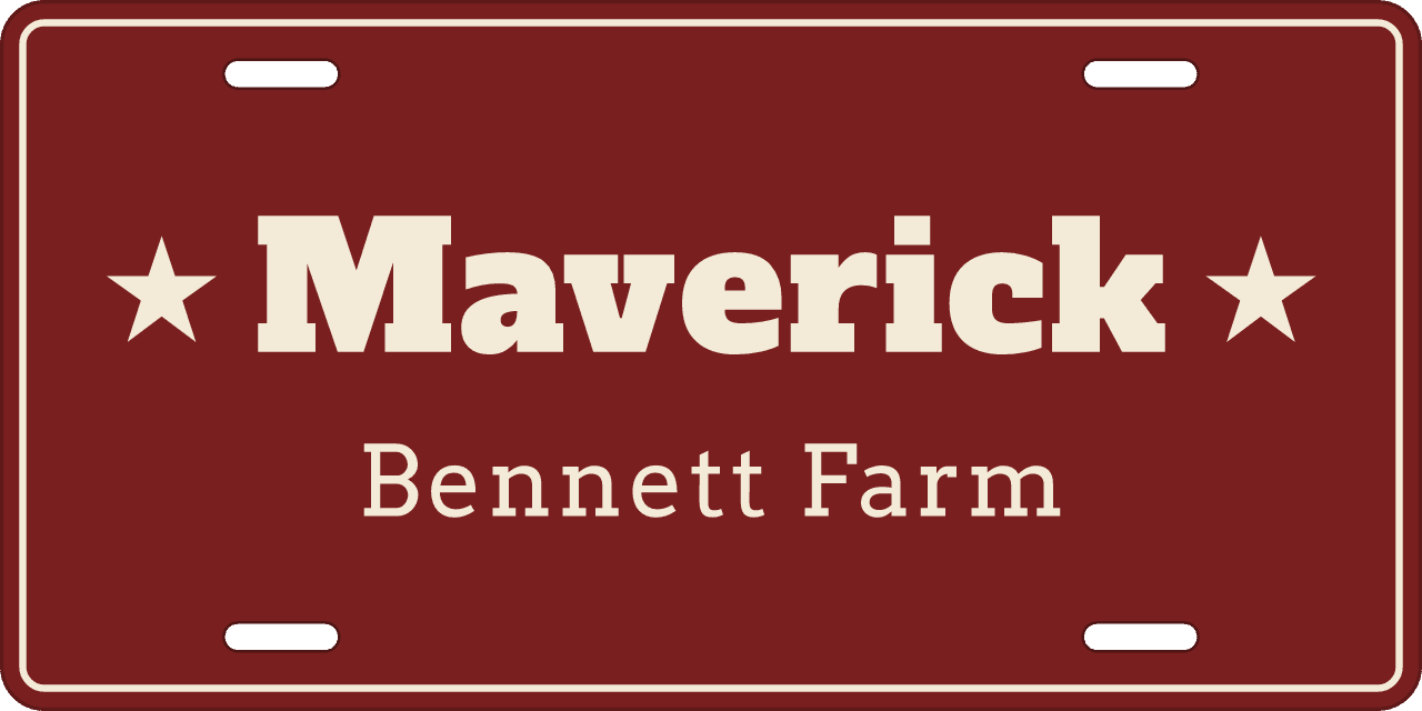 Barnwood Red stall sign, name between ornaments