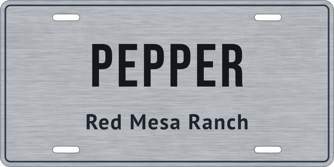 Brushed Steel stall sign