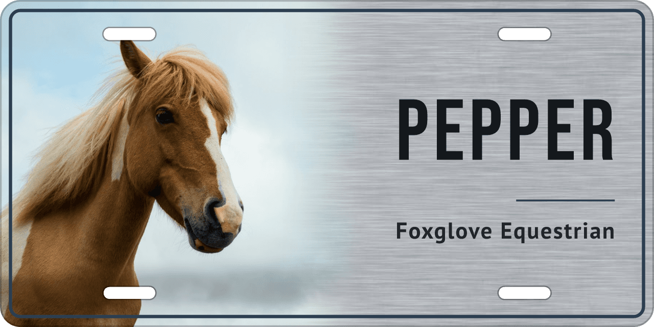 Brushed Steel stall sign, with your horse’s photo