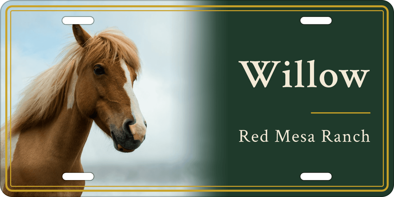 Classic Green stall sign, with your horse’s photo