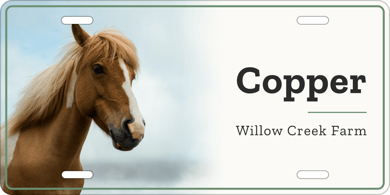 Farmhouse stall sign, with your horse’s photo