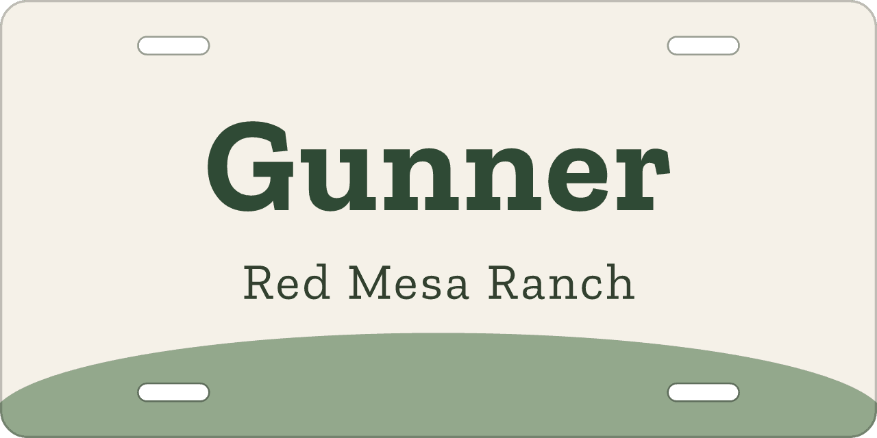 An arch: a stall sign reading Gunner, Red Mesa Ranch