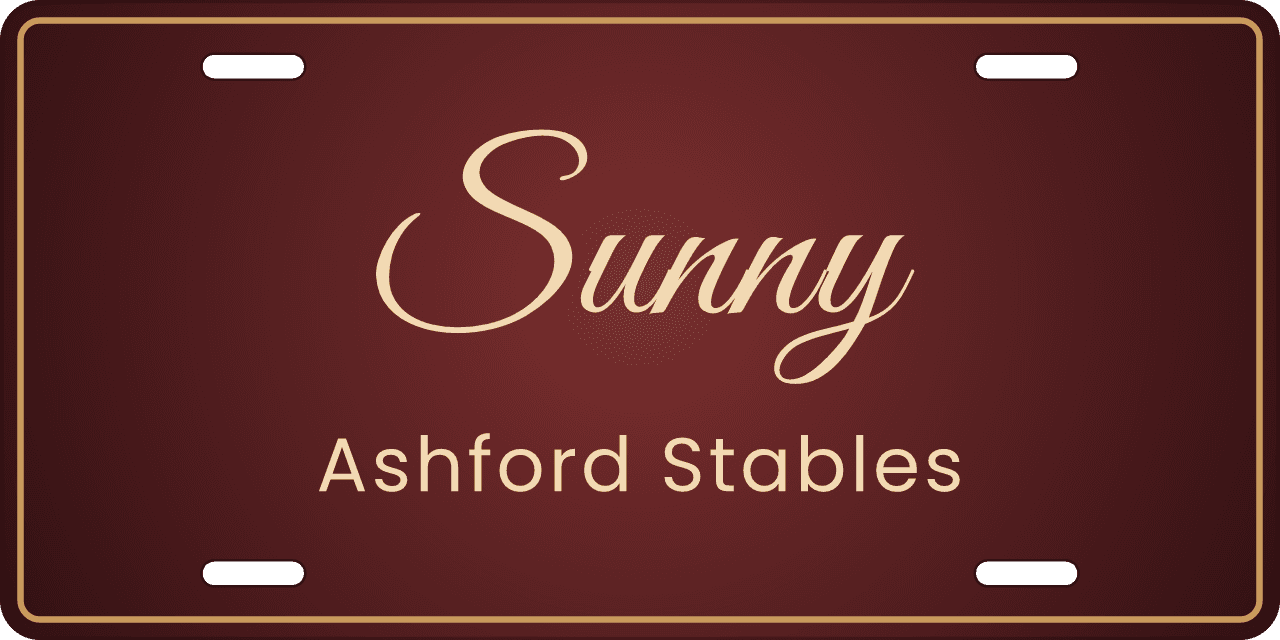 A burgundy glow: a stall sign reading Sunny, Ashford Stables