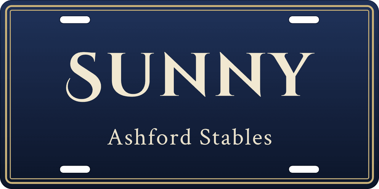 Midnight blue: a stall sign reading Sunny, Ashford Stables
