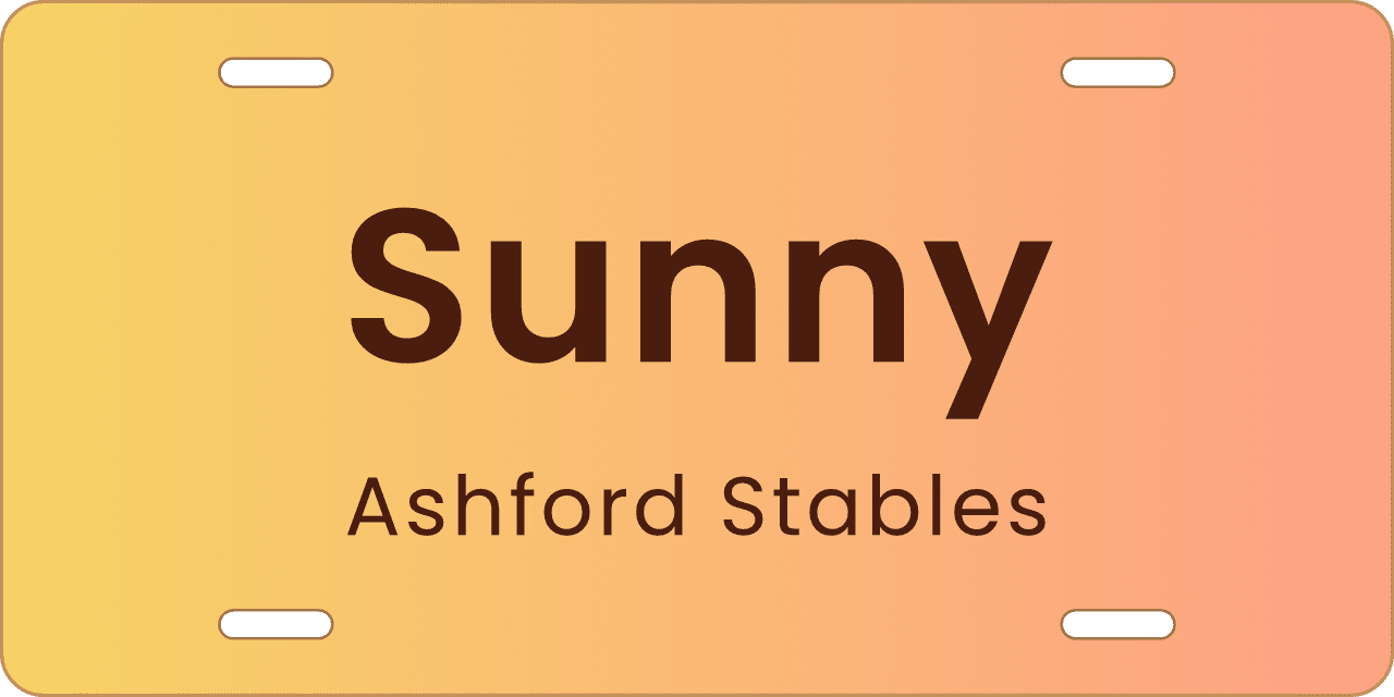Sunset: a stall sign reading Sunny, Ashford Stables