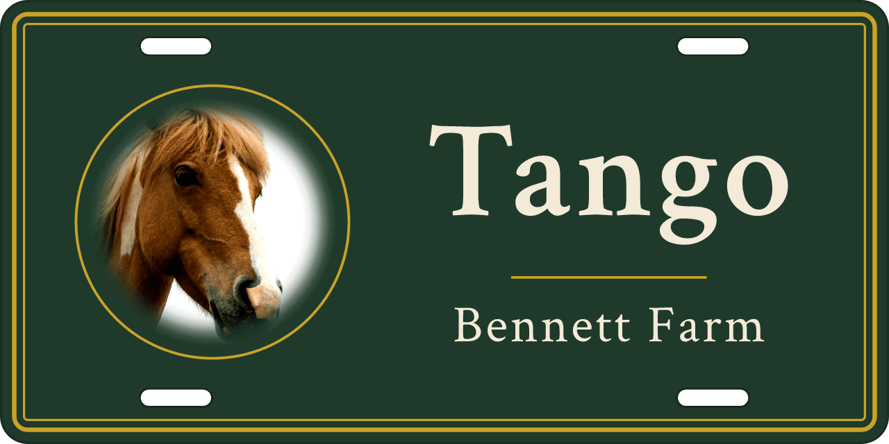 Zoomed, brighter and with more contrast: a stall sign reading Tango, Bennett Farm