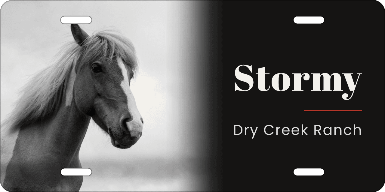 Black and white: a stall sign reading Stormy, Dry Creek Ranch