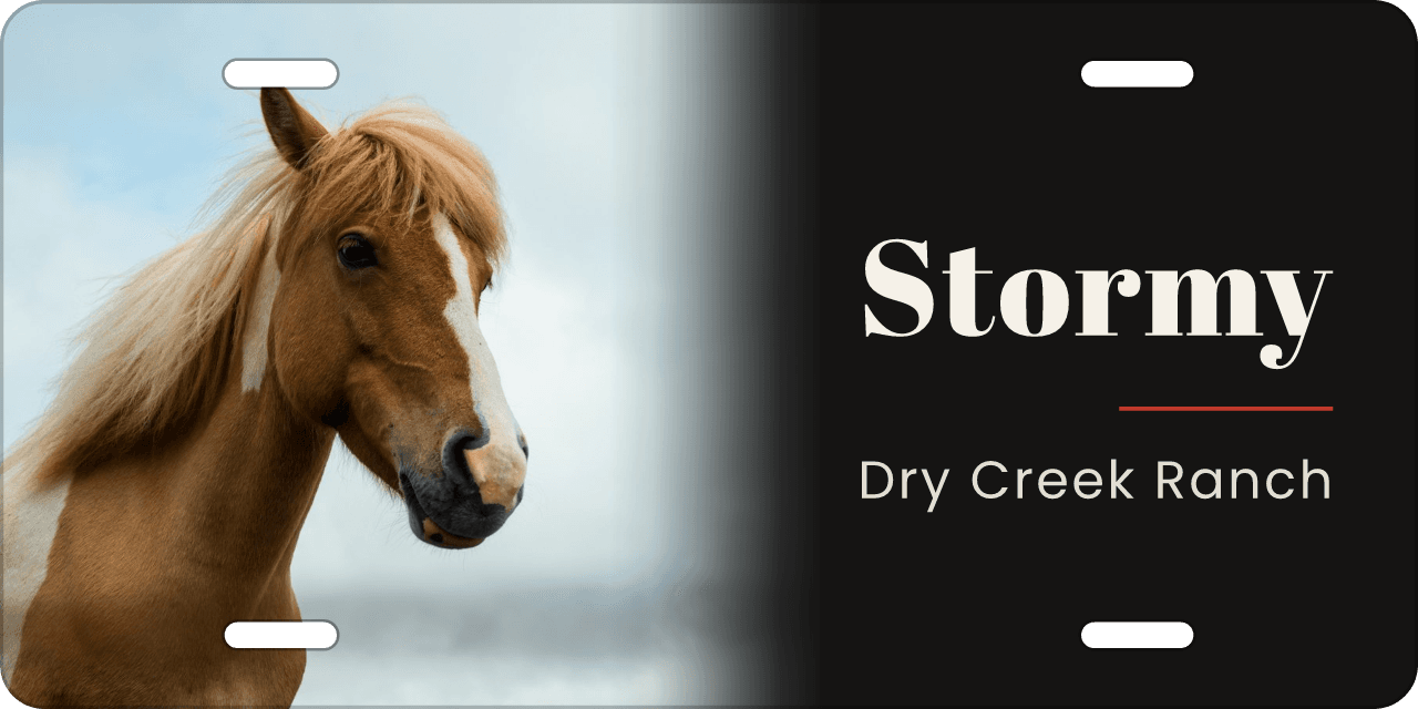 As you took it: a stall sign reading Stormy, Dry Creek Ranch