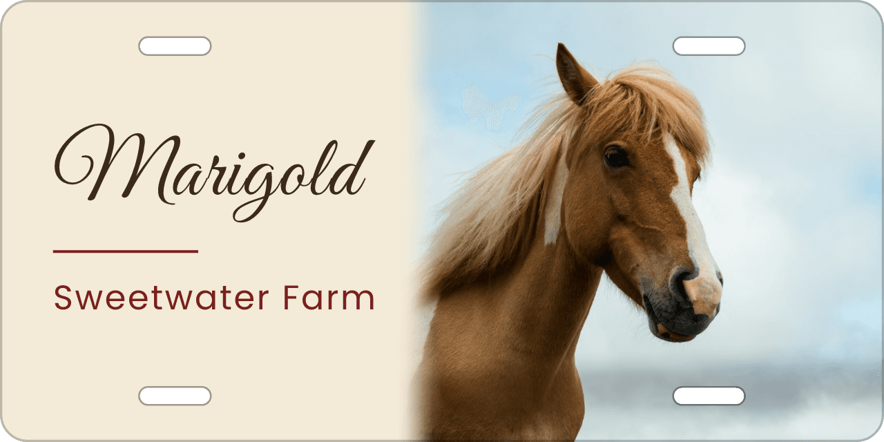 A crisp edge instead of a fade: a stall sign reading Marigold, Sweetwater Farm
