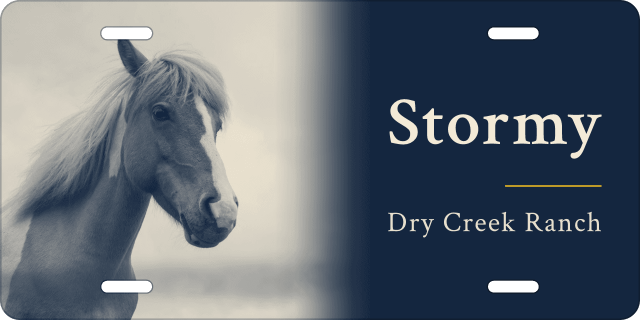 Duotone: a stall sign reading Stormy, Dry Creek Ranch