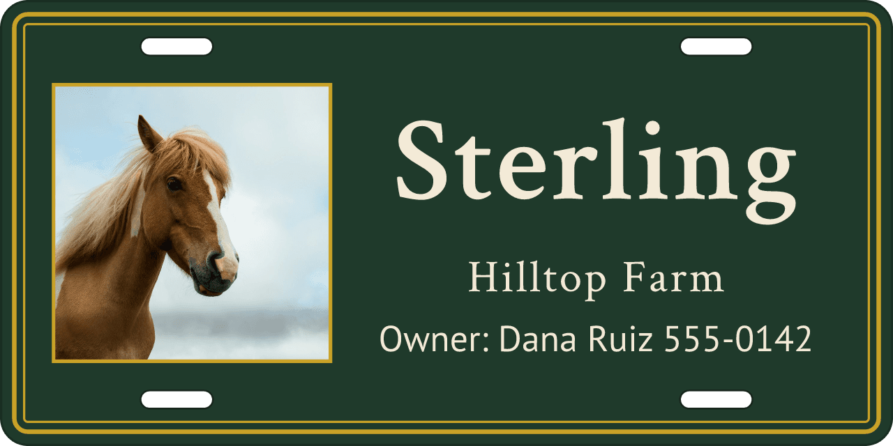 Photo with a hard edge: a stall sign reading Sterling, Hilltop Farm