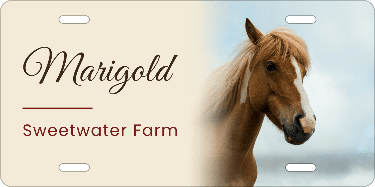 Half and half: a stall sign reading Marigold, Sweetwater Farm