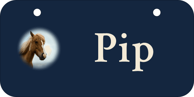 On the 6×3″ mini: a stall sign reading Pip