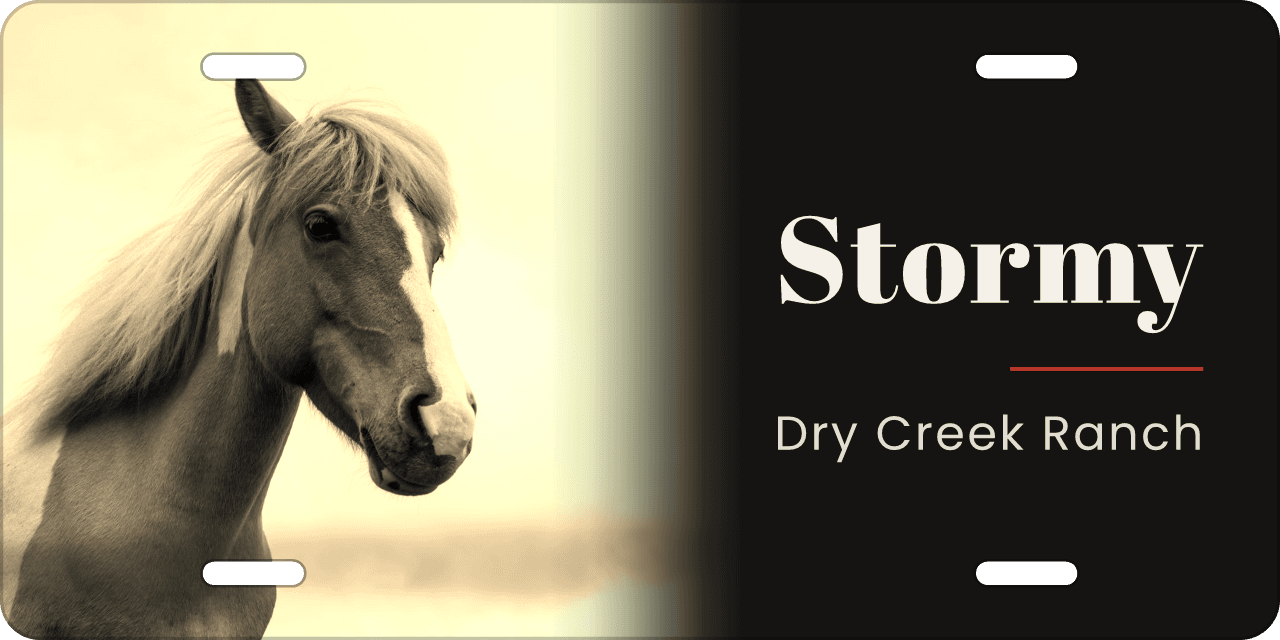 Sepia: a stall sign reading Stormy, Dry Creek Ranch
