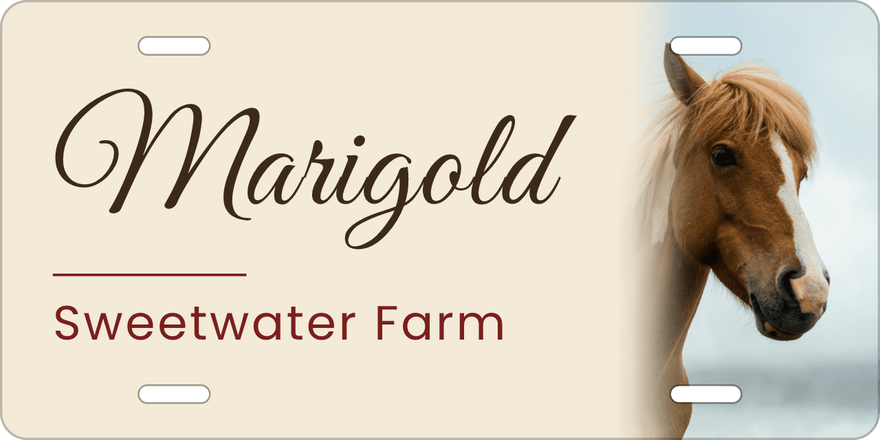 Photo on a quarter of the sign: a stall sign reading Marigold, Sweetwater Farm