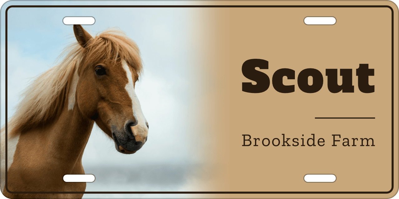 Kraft stall sign, with your horse’s photo