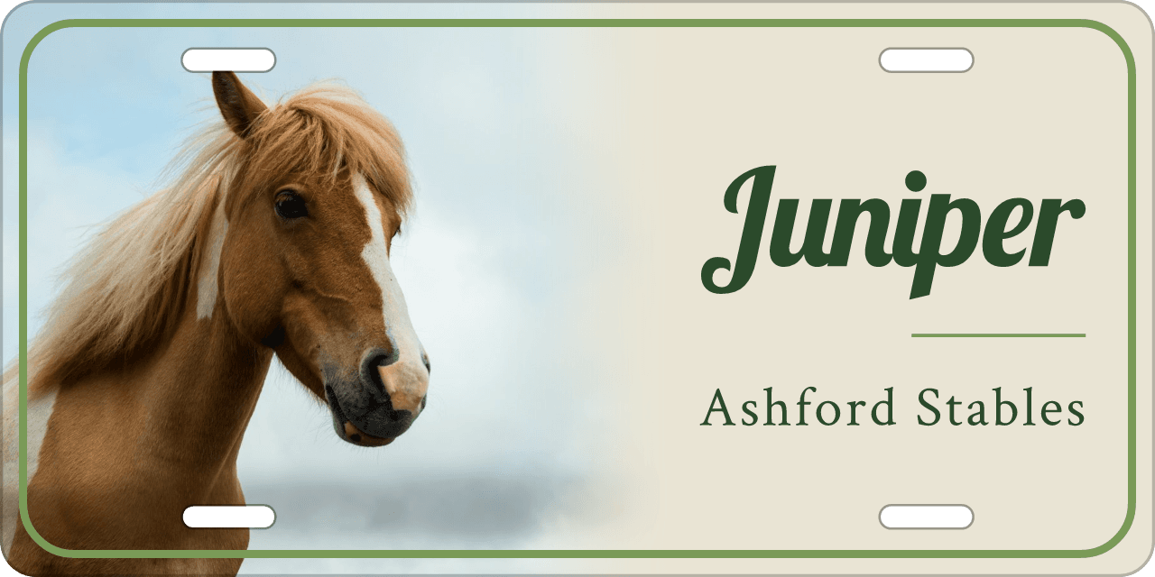 Meadow stall sign, with your horse’s photo
