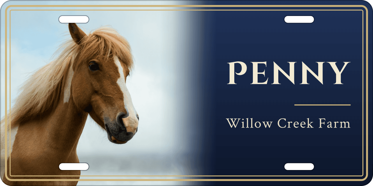 Midnight Blue stall sign, with your horse’s photo