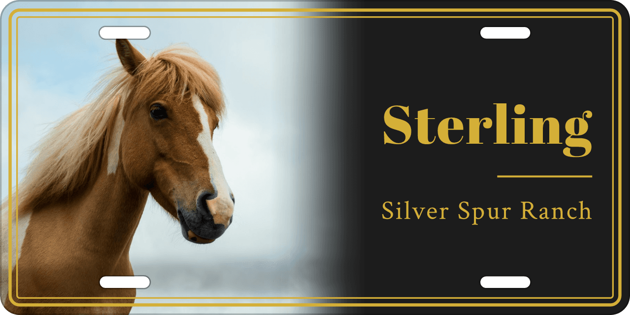 Midnight Gold stall sign, with your horse’s photo