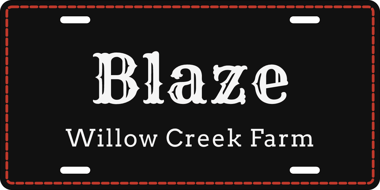 Ranch Black stall sign