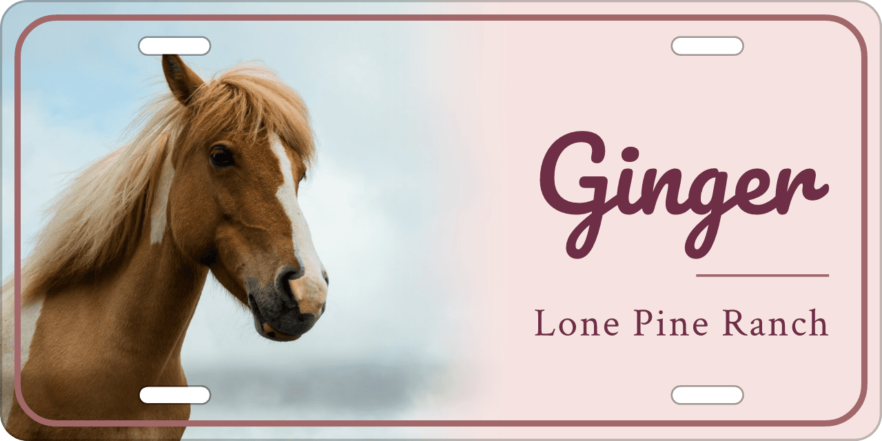 Rose stall sign, with your horse’s photo