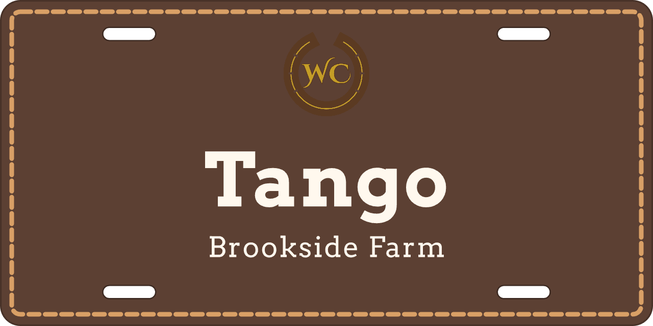 Saddle Leather stall sign, with your farm’s logo